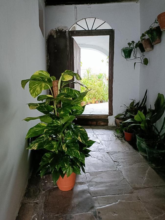 Ferienwohnung Casa Amalfi, Coqueta Casa Centro Historico De Vejer Vejer de la Frontera Exterior foto