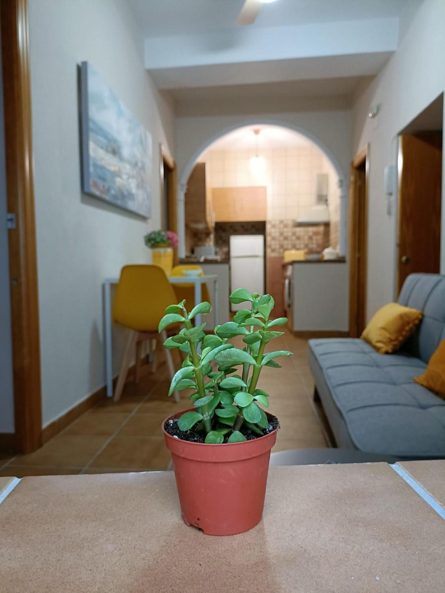 Ferienwohnung Casa Amalfi, Coqueta Casa Centro Historico De Vejer Vejer de la Frontera Exterior foto